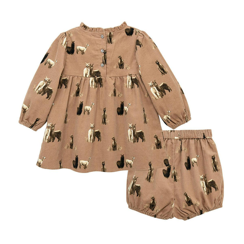 Corduroy Dress & Bloomer