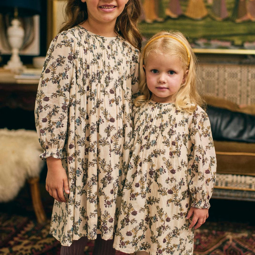 Charlotte Dress in Harvest Toile