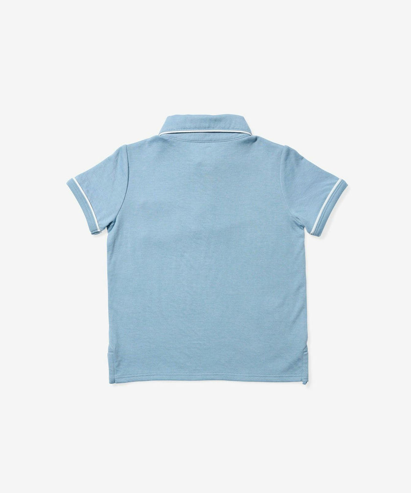 Marco Polo, Dusty Blue