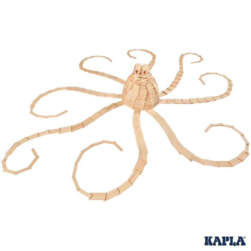 Kapla 1000 Pack