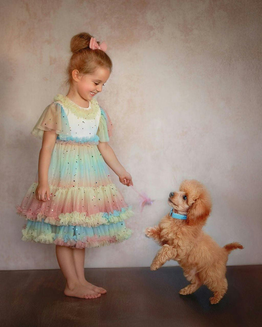 Pastel Stardust Layered Tulle Birthday Dress for Girls