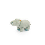 Small Hippopotamus - All Around The World