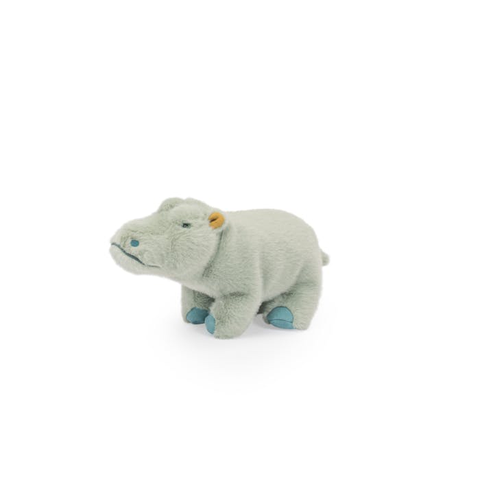 Small Hippopotamus - All Around The World
