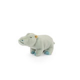 Small Hippopotamus - All Around The World