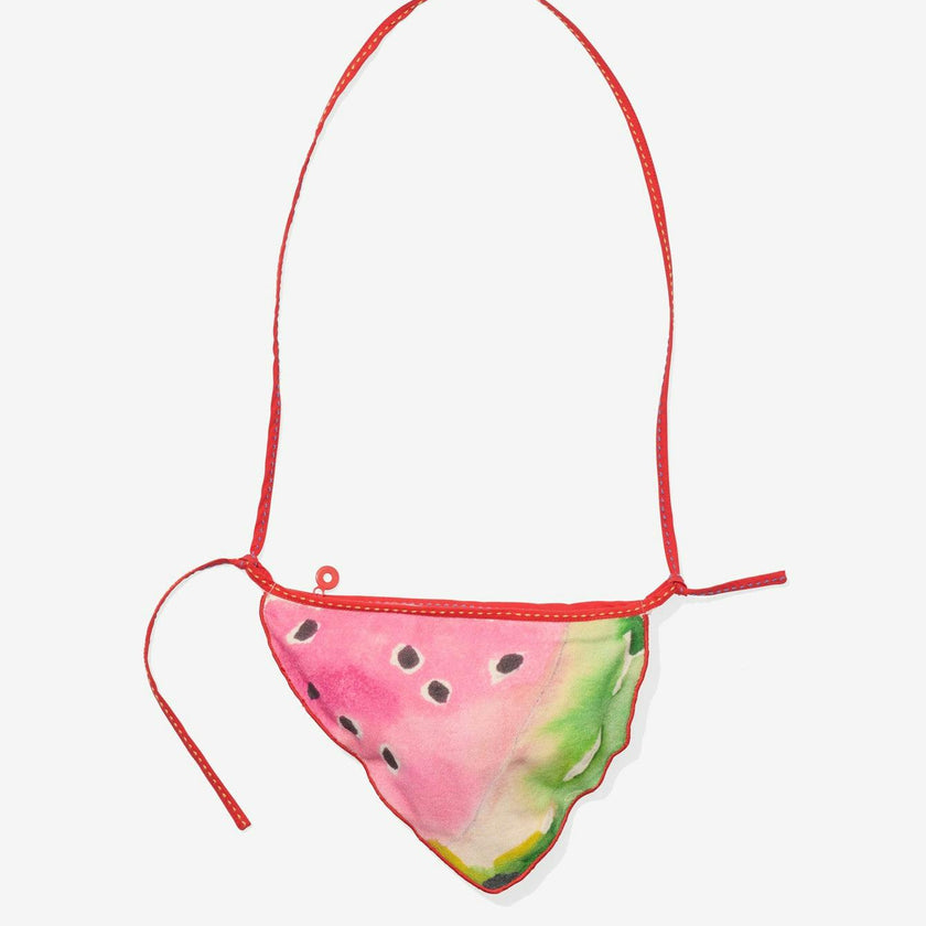 Little Zip Purse, Summer Slice