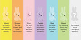 Mr Maria Miffy Colourful Surprise Bundle of Light