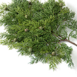 Green Real Touch Juniper Berry Christmas Faux Greenery Large Stem Branch - 23"