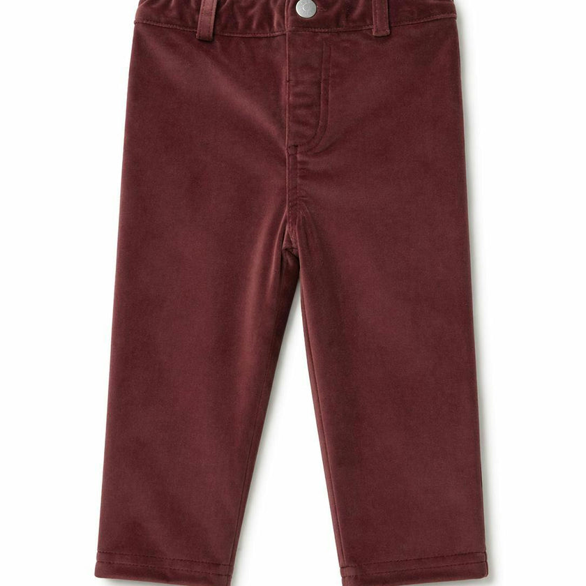 Boys Velour Straight Leg Dress Pants