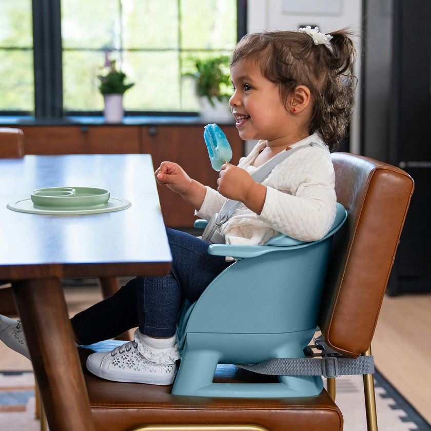 Evrloop 3 in 1 Highchair