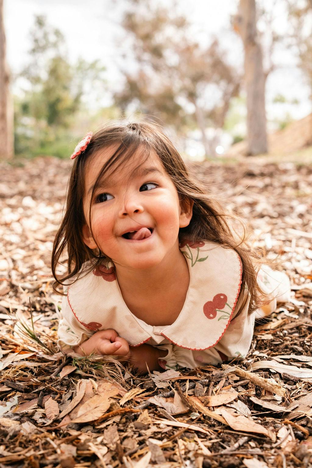 Clementine Dress in Cherry Bloom