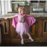 Rainbow Fairy Dress & Wings