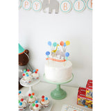 Party Animal - Birthday Party Supplies in a Box