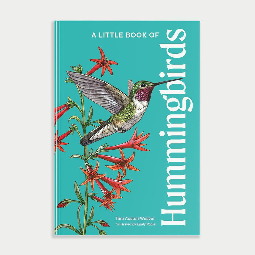 Little Book of Hummingbirds