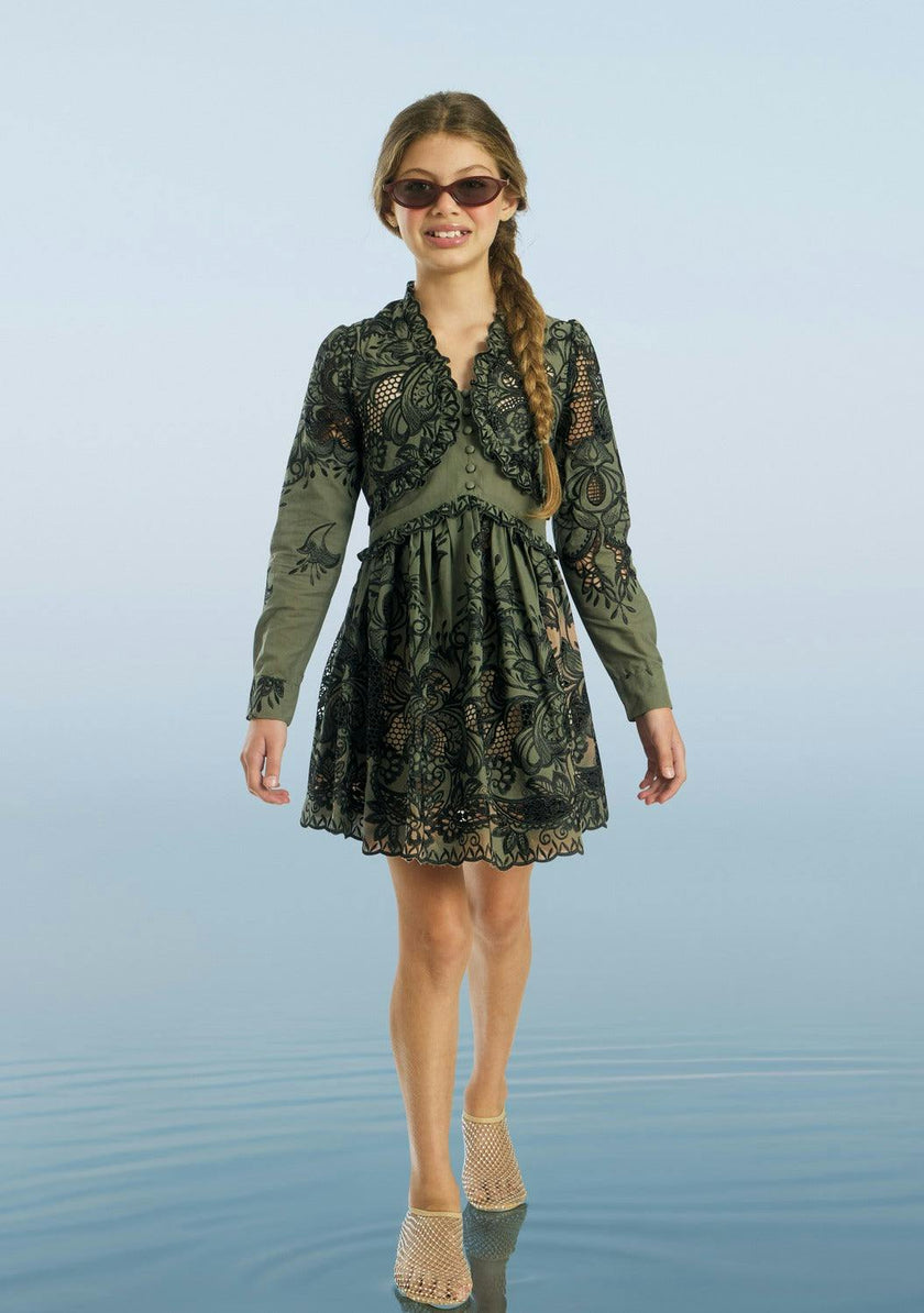 Maia Embroidery Mini Dress