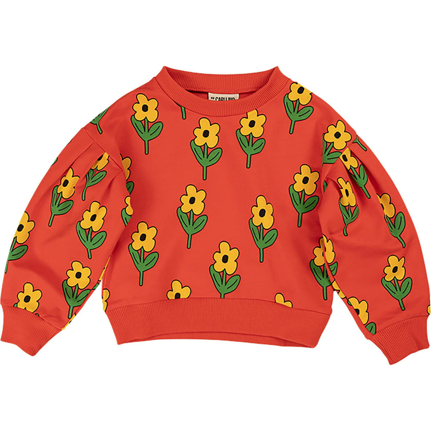Floral Graphic Print Crew Neck Long Sleeve Sweatshirt