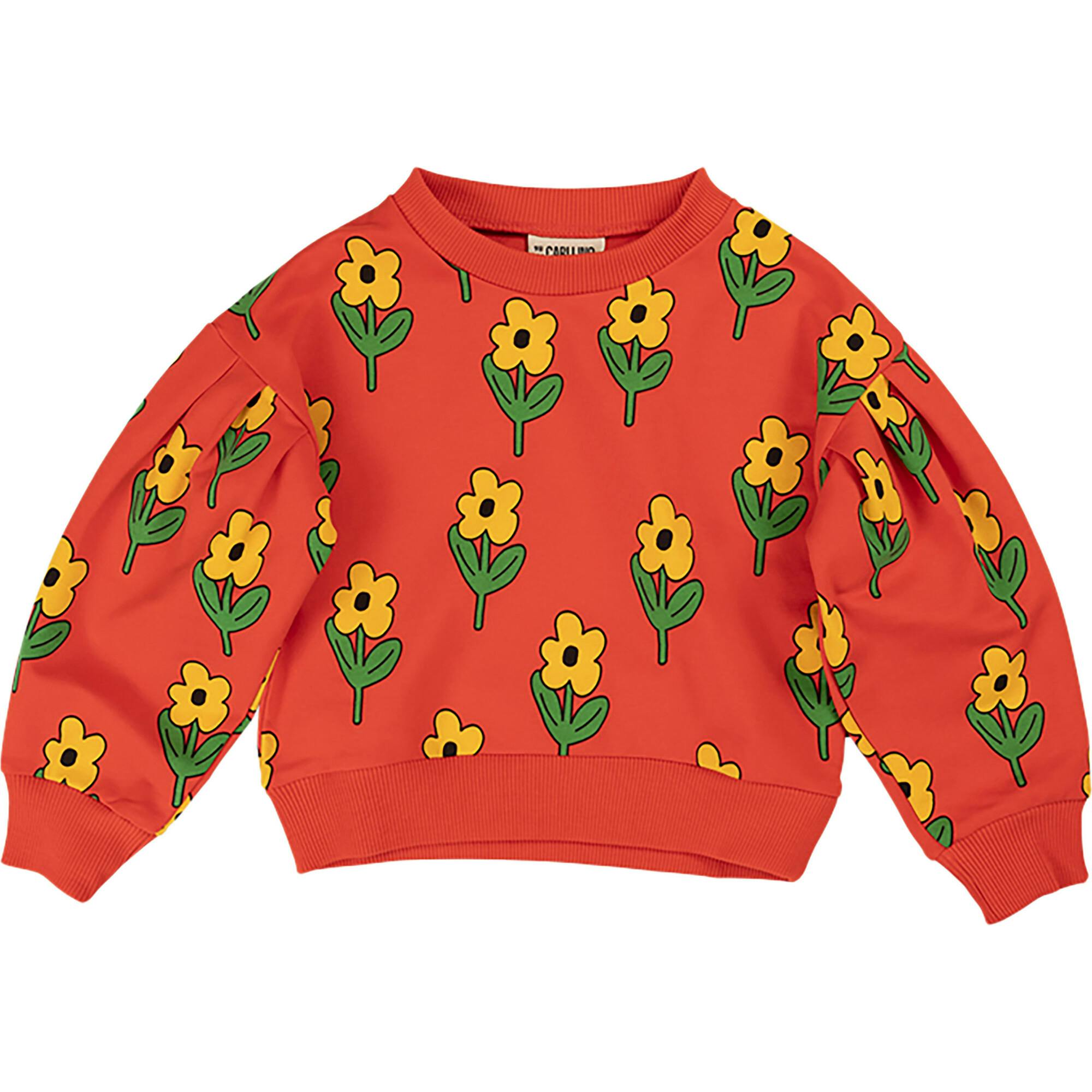 Floral Graphic Print Crew Neck Long Sleeve Sweatshirt
