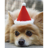 HOLIDAY HAT