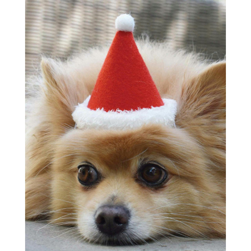 HOLIDAY HAT