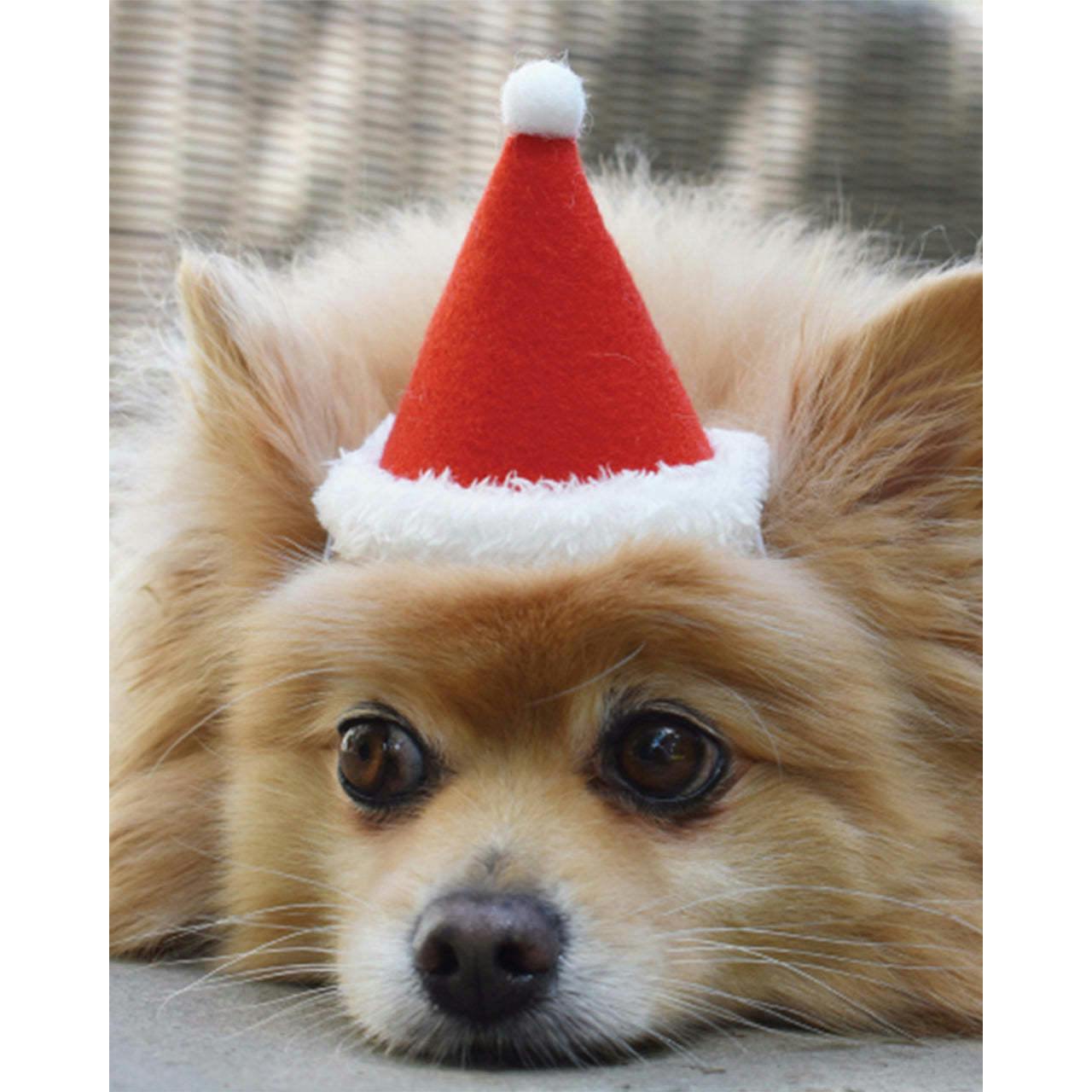 HOLIDAY HAT