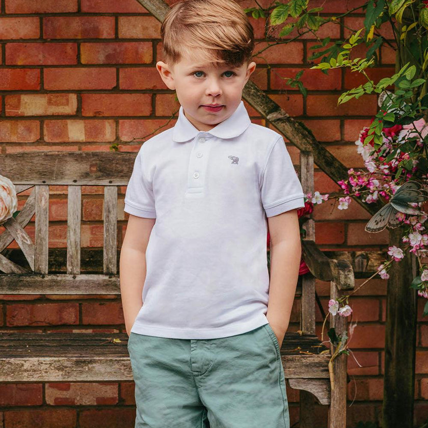 Charlie Chino Shorts in Sage