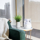 HALLS® 2-in-1 0.5 Gal. Warm Mist Humidifier & Steam Inhaler