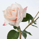 Blush Pink Real Touch Juliette Rose Stem & Buds in Fluted Glass Vase Everyday Spring Water Illusion