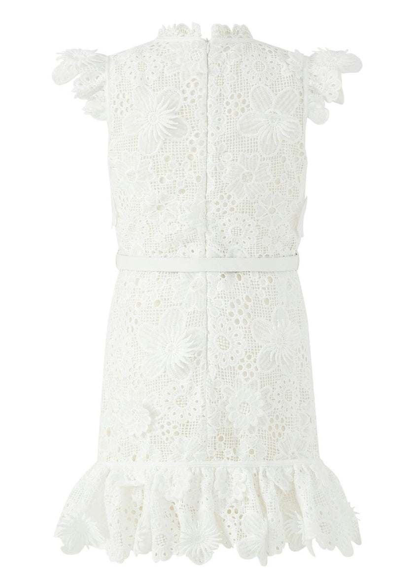 Lucinda Embroidered Mini Dress