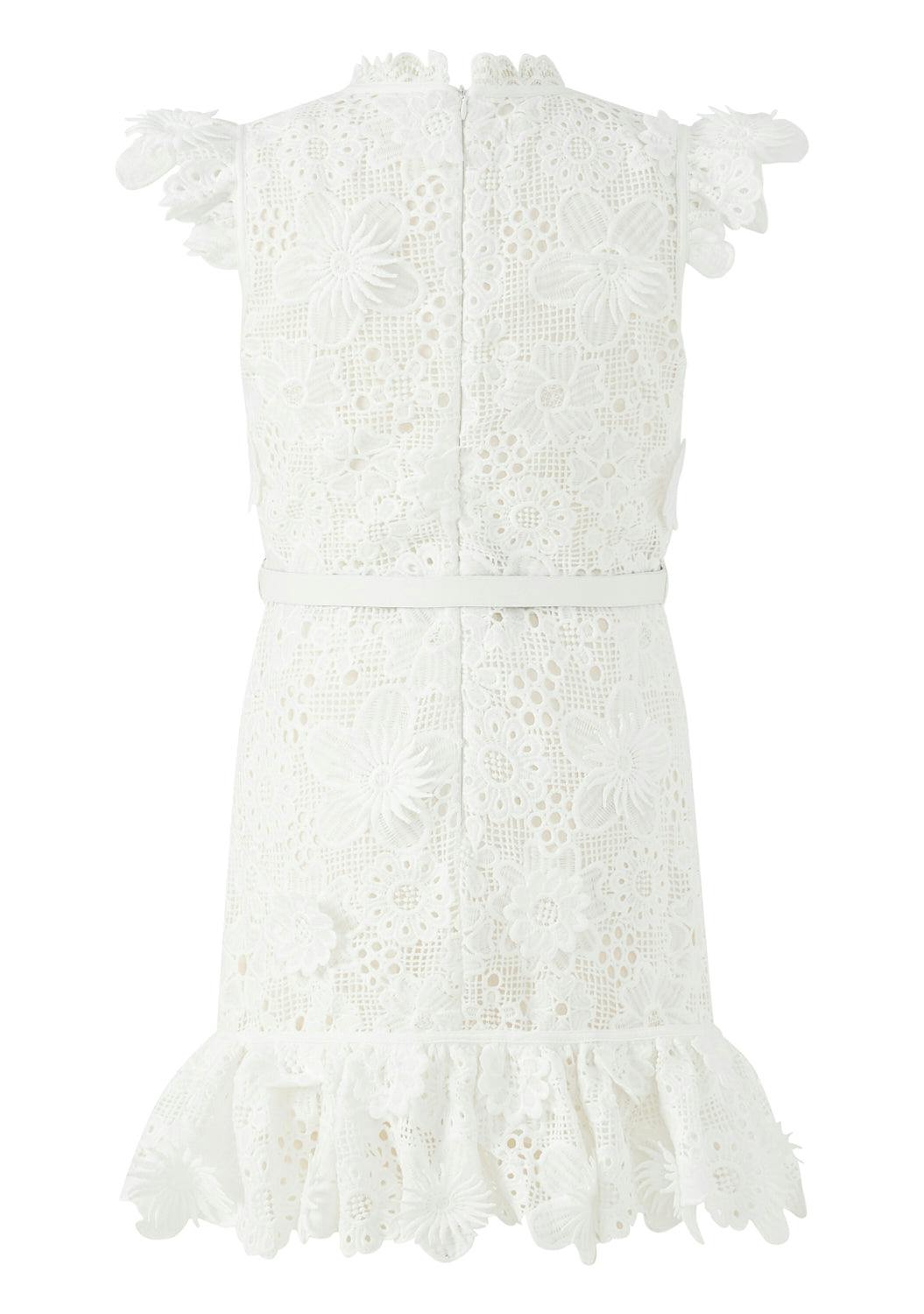 Lucinda Embroidered Mini Dress