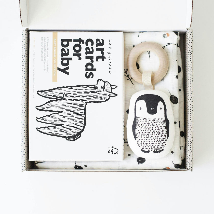 Gift Set Baby Animal s