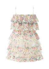 Reign Frill Embroidered Mini Dress