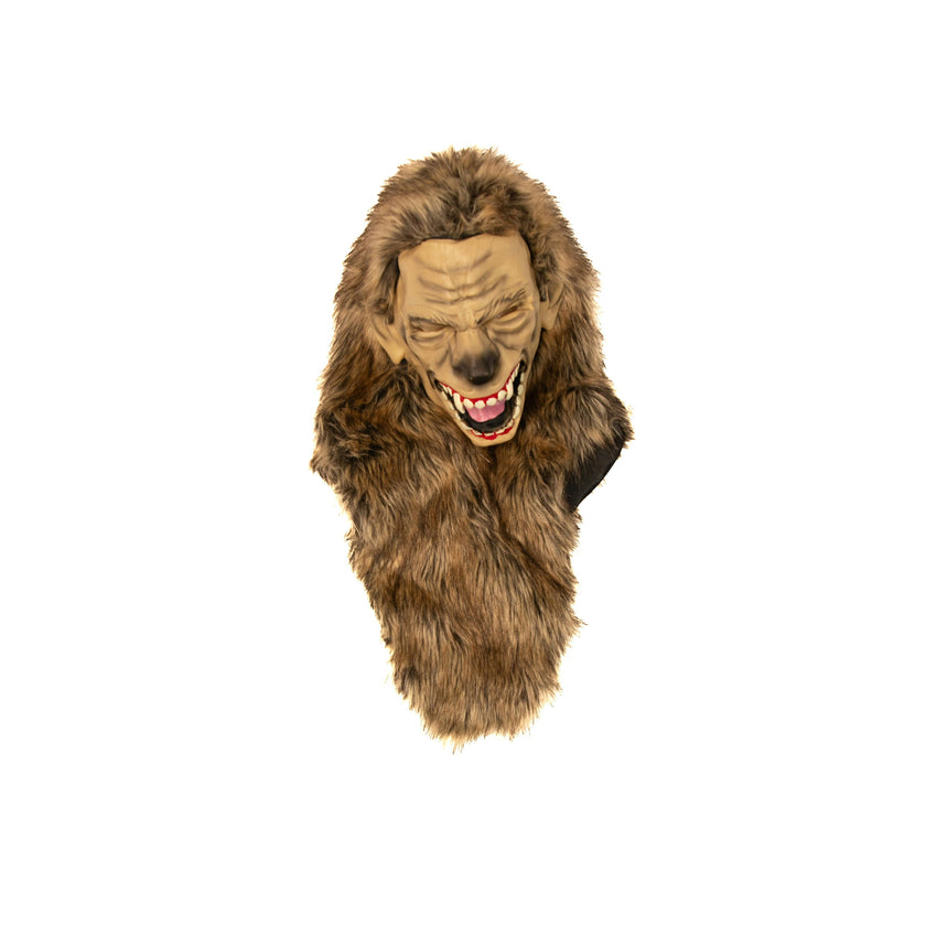 A Leading Role Signature Werewolf Child Dress Up