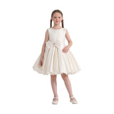 Ivory Kalina Tulle Pleated Dress