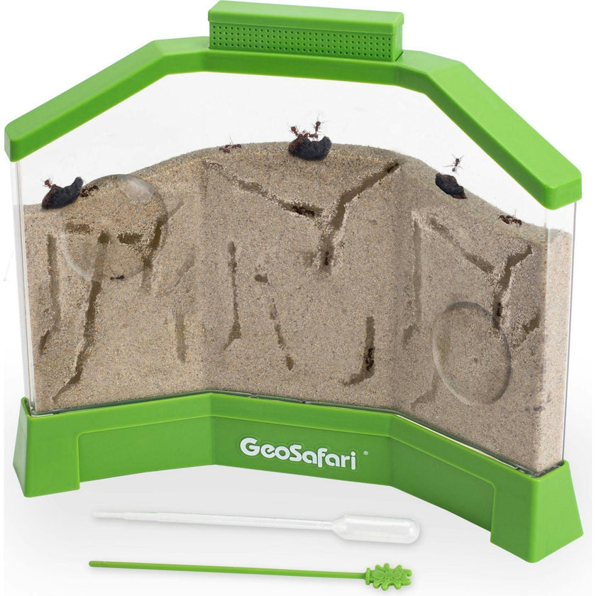 GeoSafari® Ant Factory™