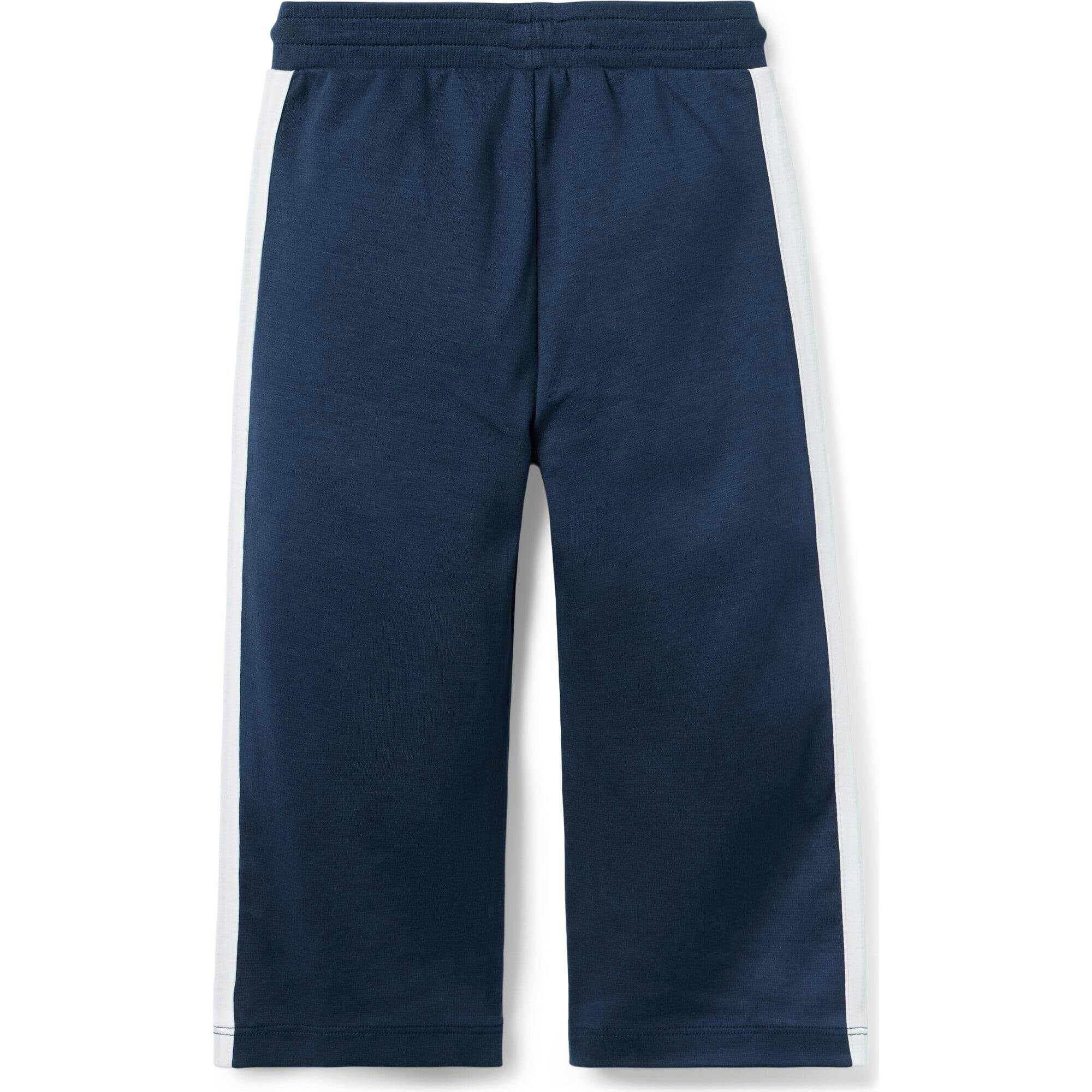 The Stripe Wide Leg Ponte Pant