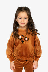 Velvet Top Brown