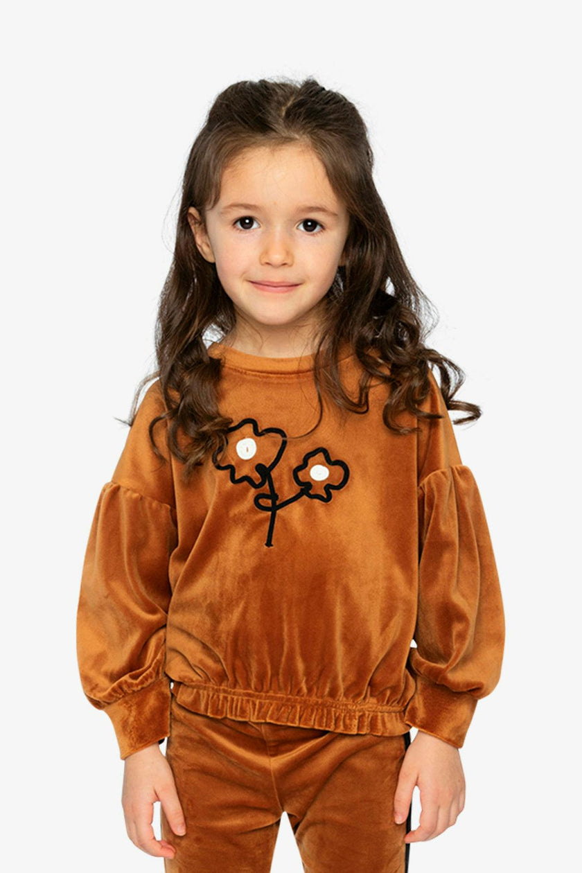 Velvet Top Brown
