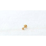 Star Titanium Flat Back Stud Earring