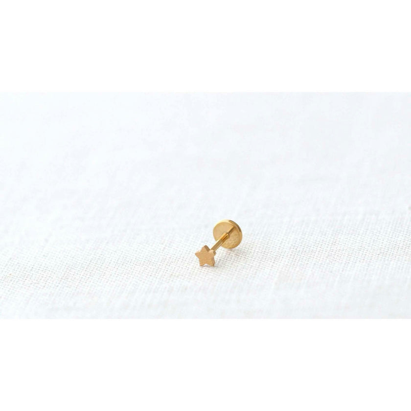 Star Titanium Flat Back Stud Earring