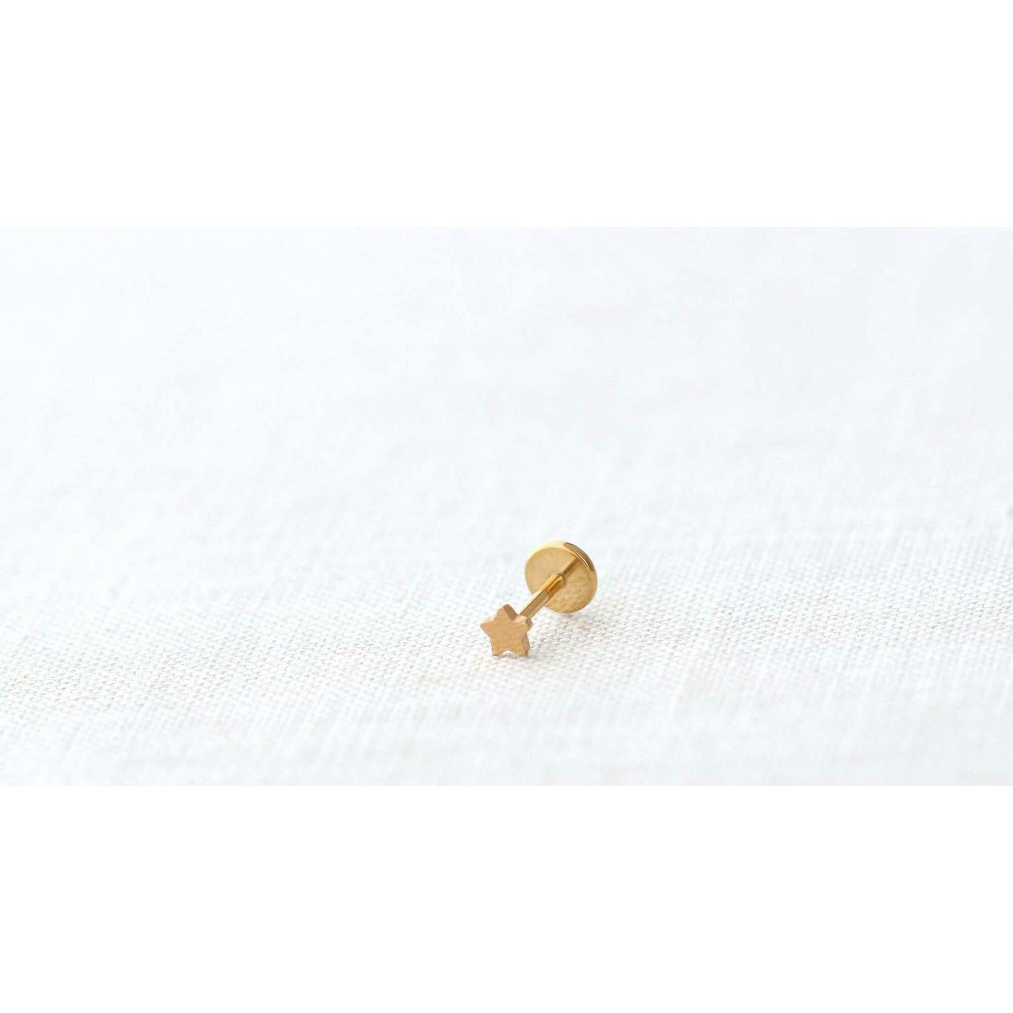 Star Titanium Flat Back Stud Earring