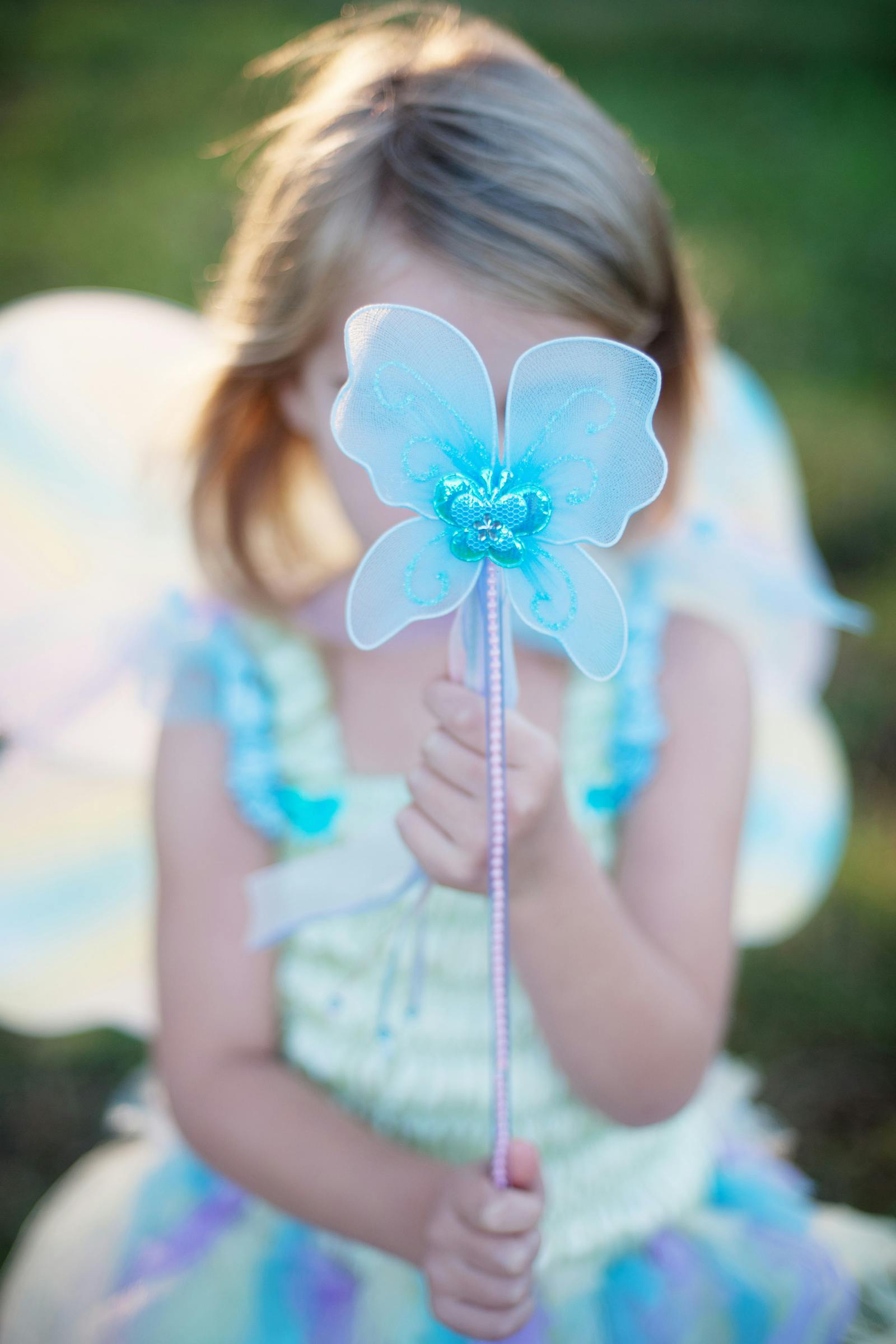 Butterfly Dress & Wings with Wand