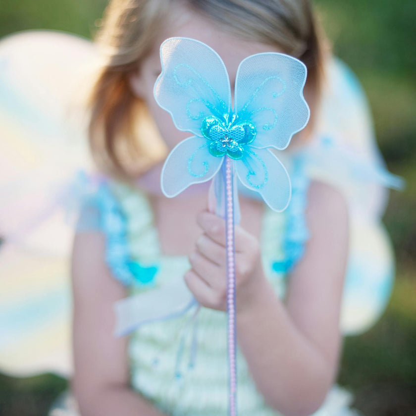 Butterfly Dress & Wings with Wand