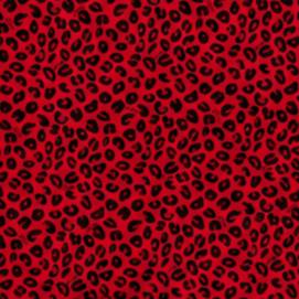 Bamboo Leopard Loungewear Set