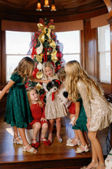 Mini Luminaria Dress in Champagne Sequin