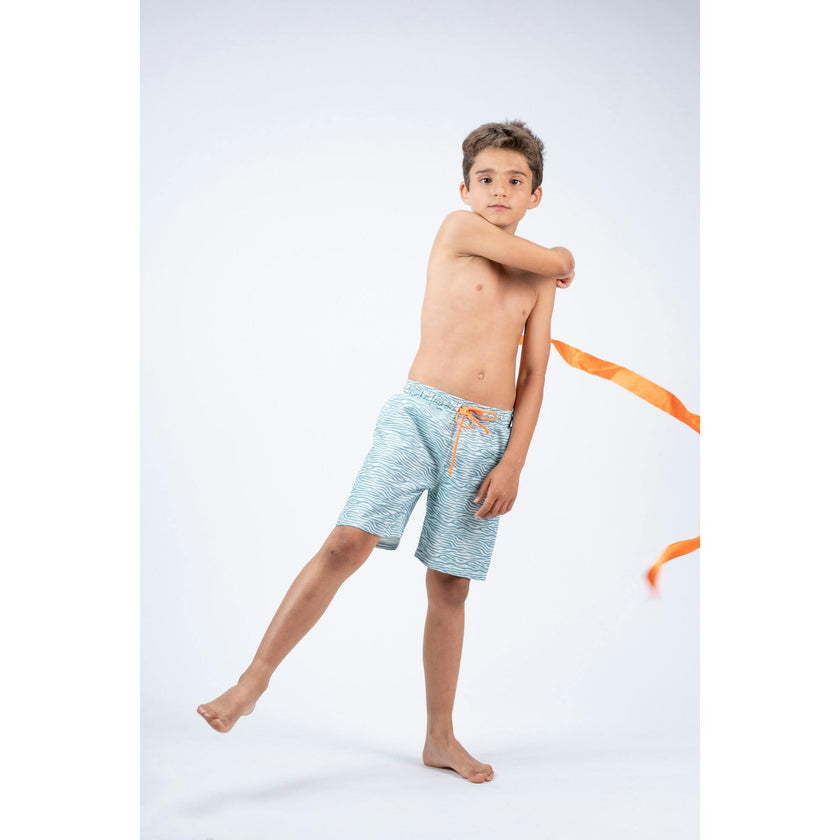 Stripes Classic Swim Shorts, Prints