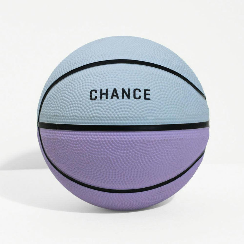 Pastel Multi Mini Basketball