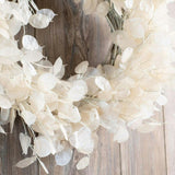 Dried Look Translucent Bleached Lunaria All Seasons Fall Wreath