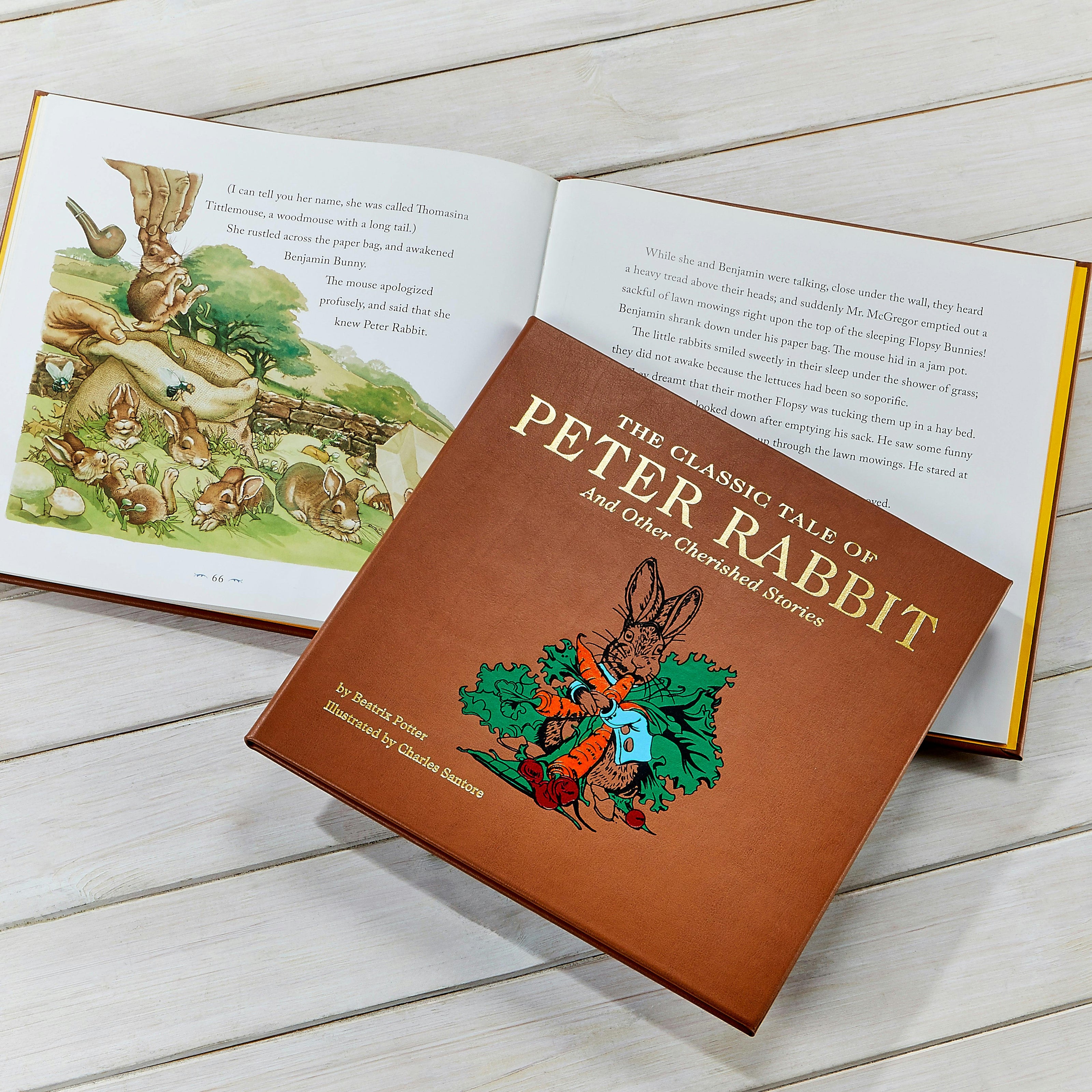 The Classic Tale of Peter Leather Bound Classic Children's Book