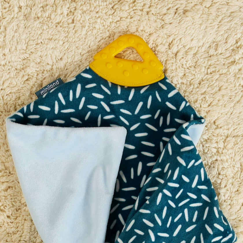Baby Koala Collection Gift Pack