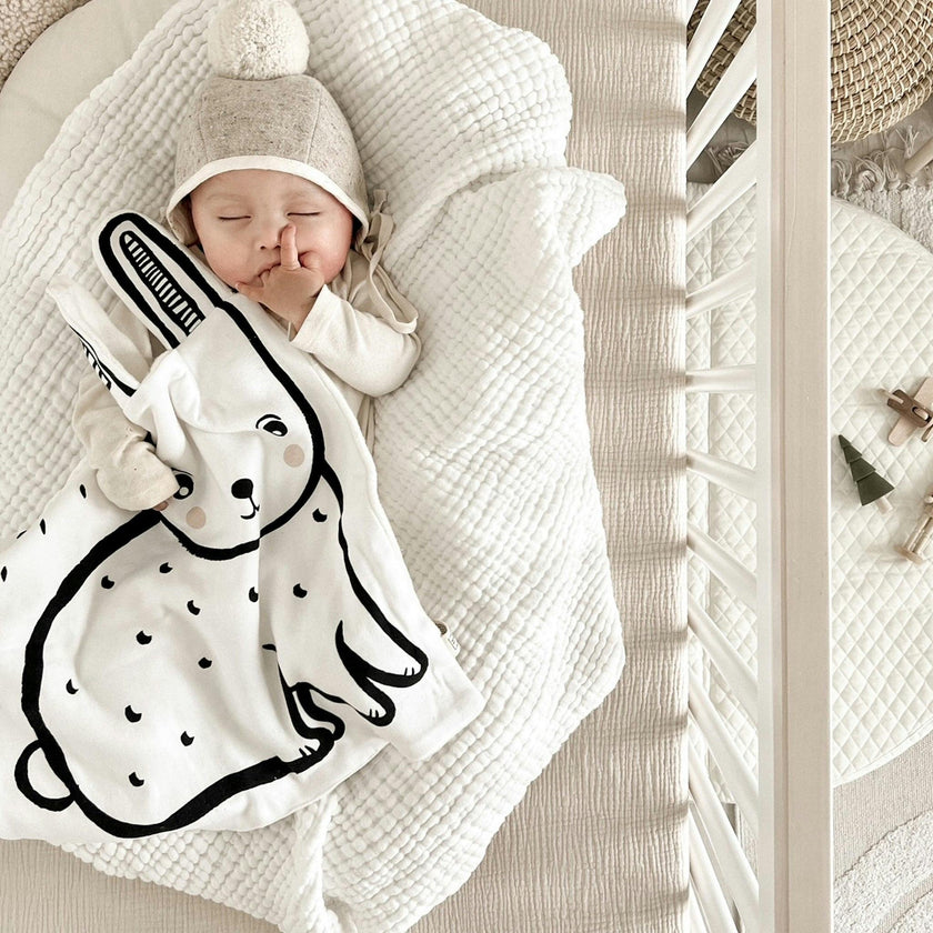 Snuggle Blanket