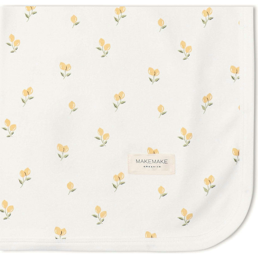 Organic Swaddle Blanket & Hat Set